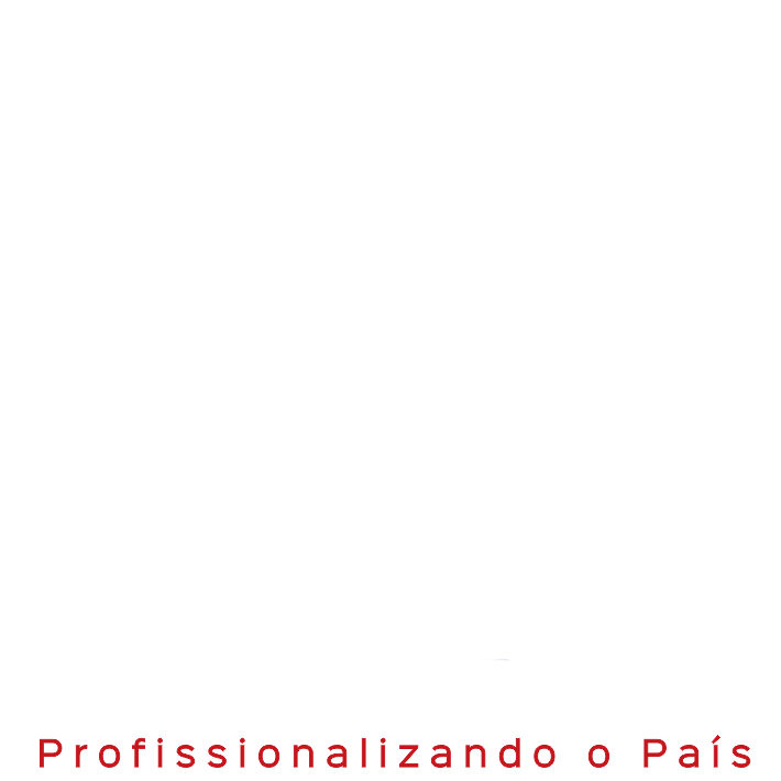 Logo Microlins